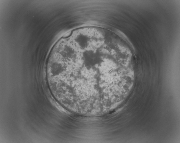 X0000080761292200701122019