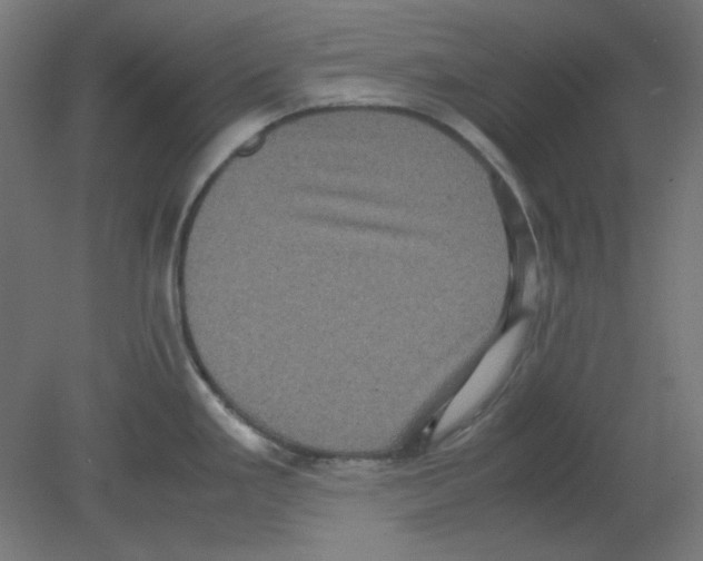 X0000080761293200701122019