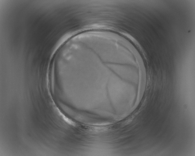 X0000080761294200701122019