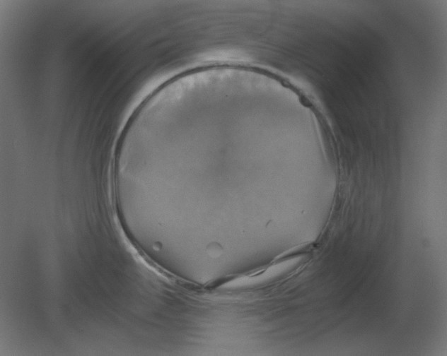 X0000080761295200701122019