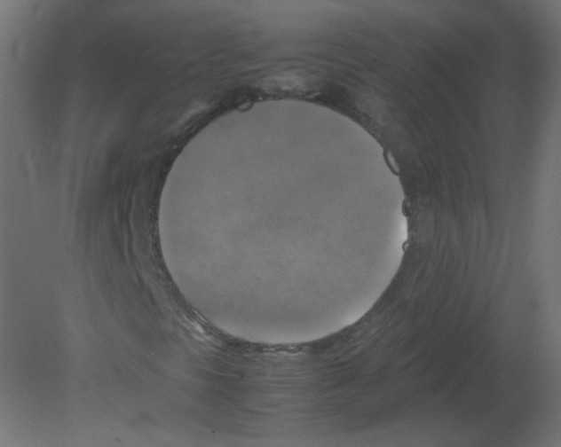 X0000080761297200701122018