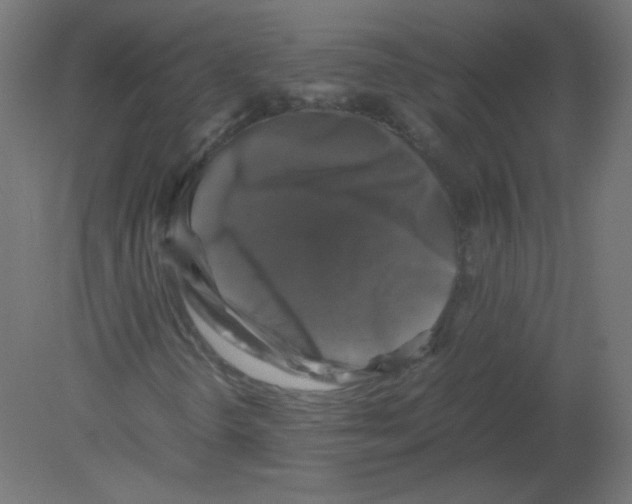 X0000080761298200701122018