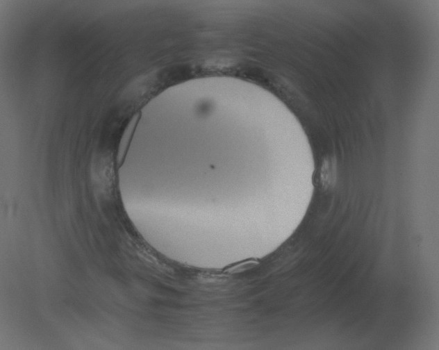 X0000080761299200701122018