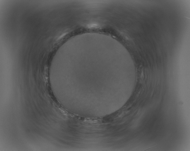 X0000080761301200701122019