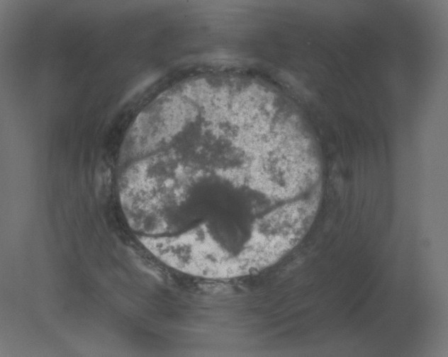 X0000080761302200701122019