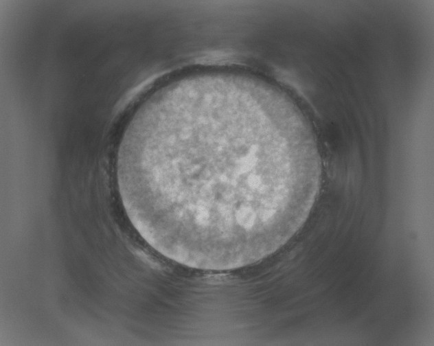 X0000080761304200701122019