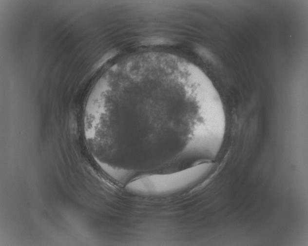 X0000080761305200701122019