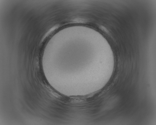 X0000080761307200701122019