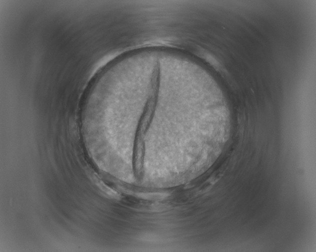 X0000080761308200701122019