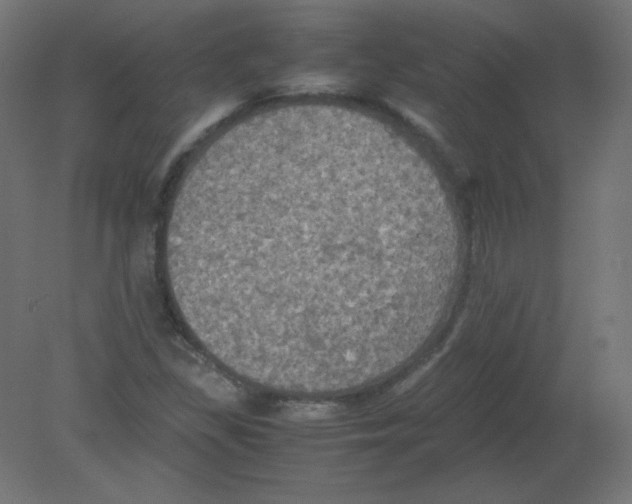 X0000080761309200701122019