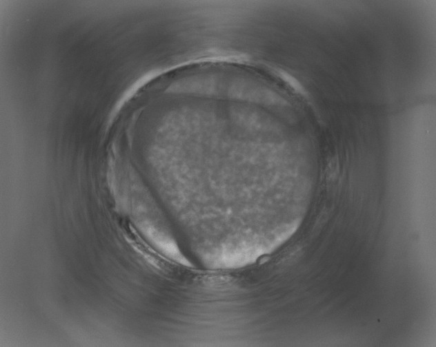 X0000080761310200701122019