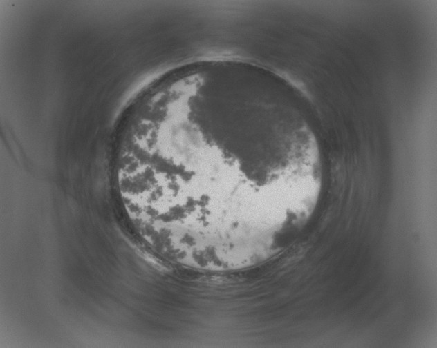 X0000080761311200701122019