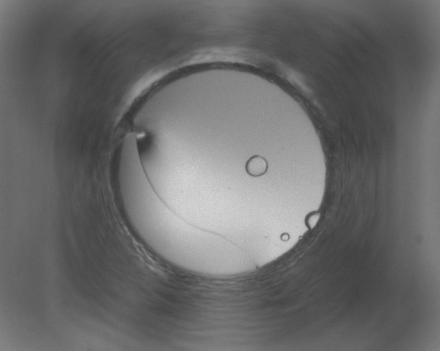 X0000080761312200701122019