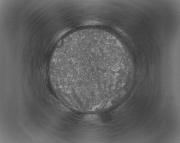 X0000080761313200701122019