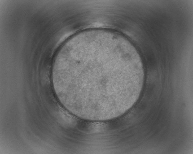 X0000080761314200701122019