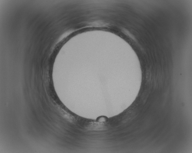 X0000080761315200701122019