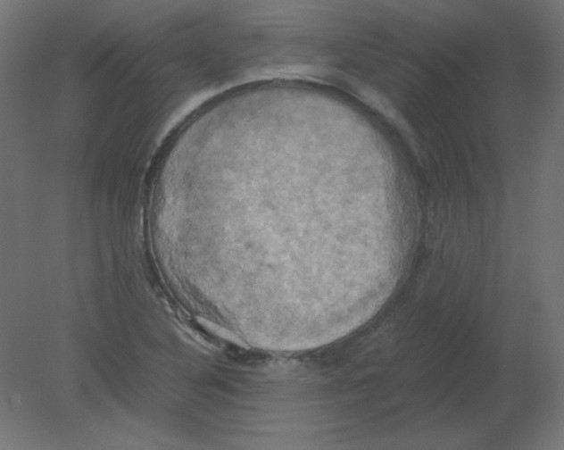 X0000080761316200701122019