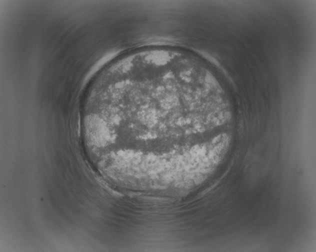 X0000080761317200701122019