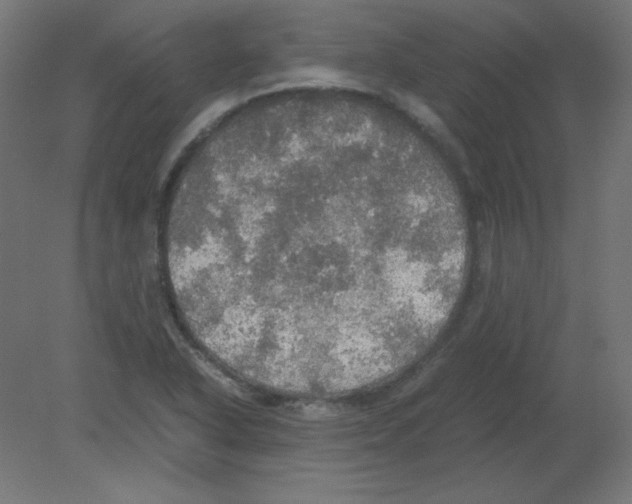 X0000080761318200701122019