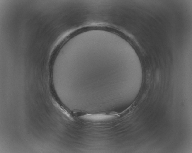 X0000080761319200701122019