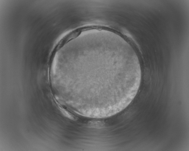 X0000080761320200701122019