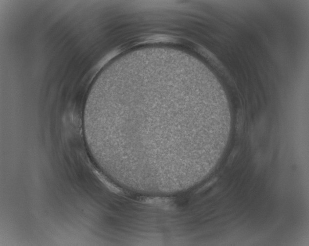 X0000080761321200701122019