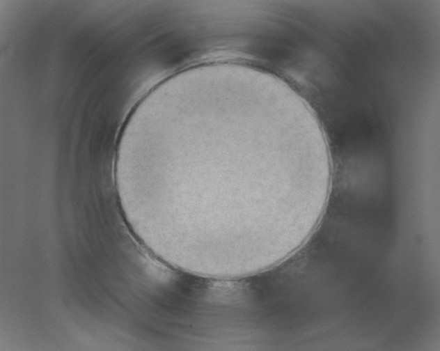 X0000080761322200701122019