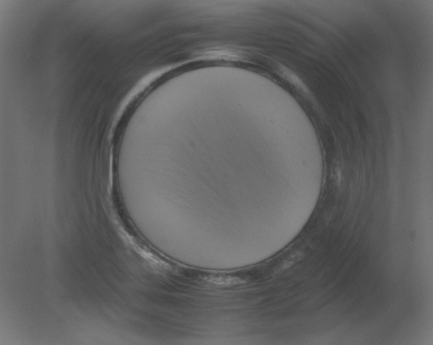 X0000080761323200701122019