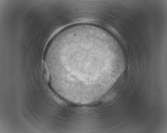 X0000080761324200701122019