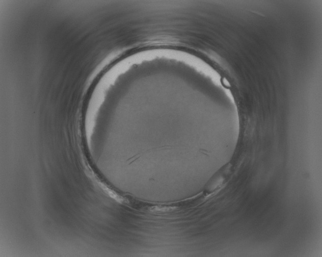 X0000080761325200701122019