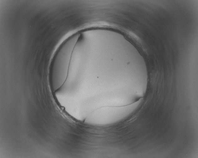 X0000080761326200701122019