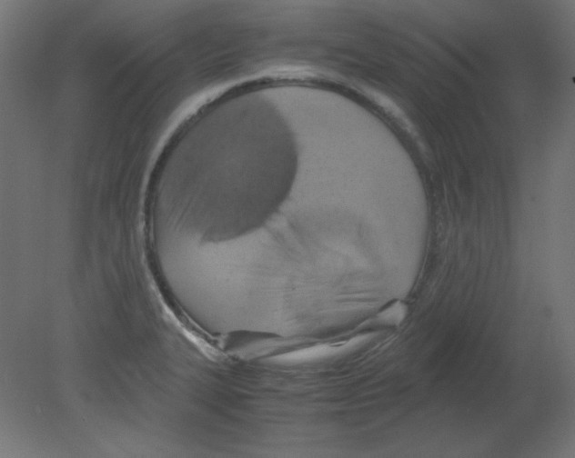 X0000080761327200701122019