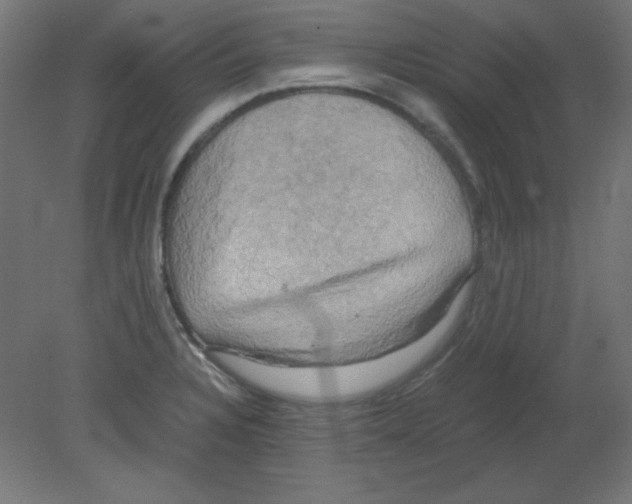 X0000080761328200701122019