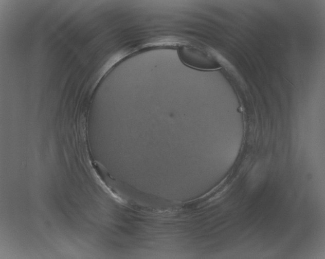 X0000080761329200701122019