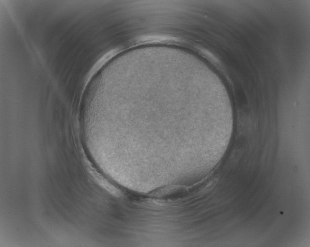 X0000080761330200701122019