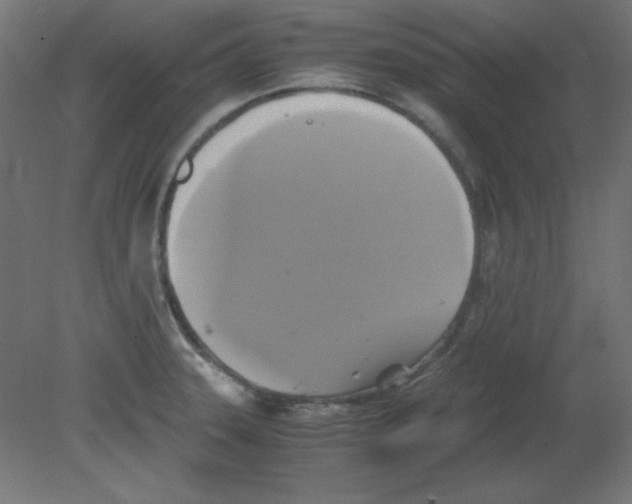 X0000080761331200701122019