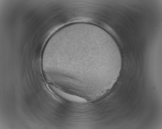 X0000080761332200701122019