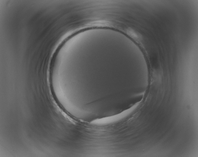 X0000080761334200701122019