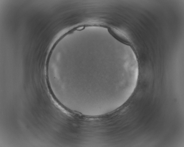 X0000080761335200701122019