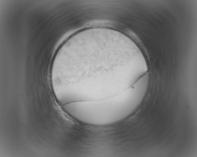 X0000080761336200701122019