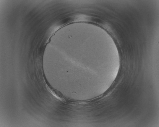 X0000080761337200701122019