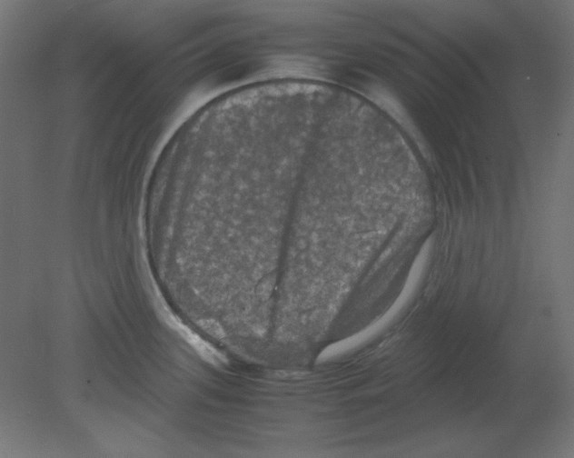 X0000080761339200701122019