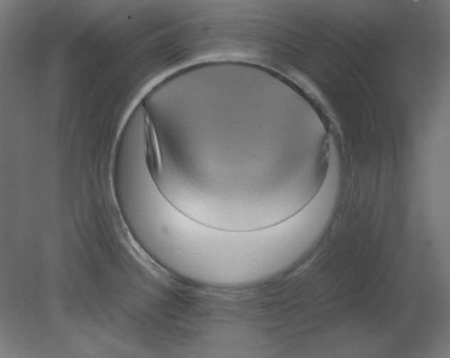 X0000080761340200701122019