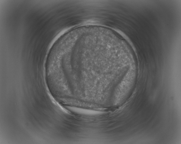 X0000080761341200701122019