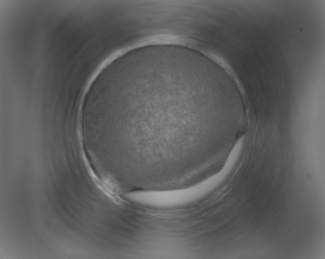 X0000080761342200701122019