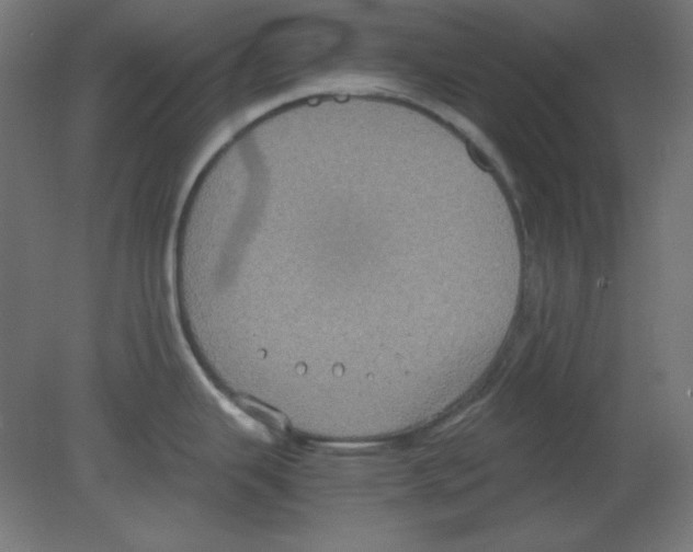 X0000080761343200701122019