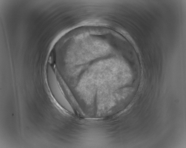 X0000080761344200701122019