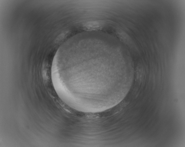 X0000080761346200701122018