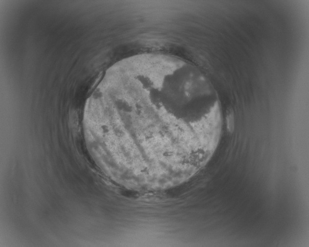 X0000080761347200701122018