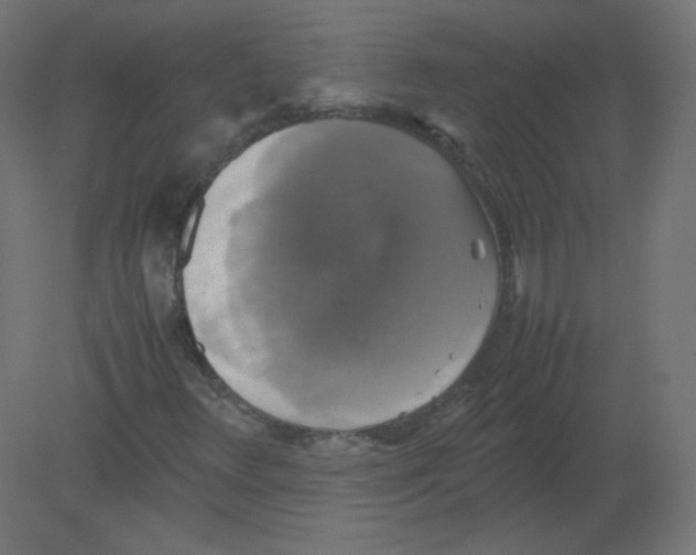 X0000080761348200701122018